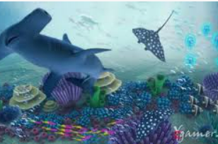 ayx官方app免费版