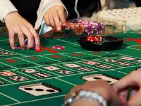 ayx官方app免费版